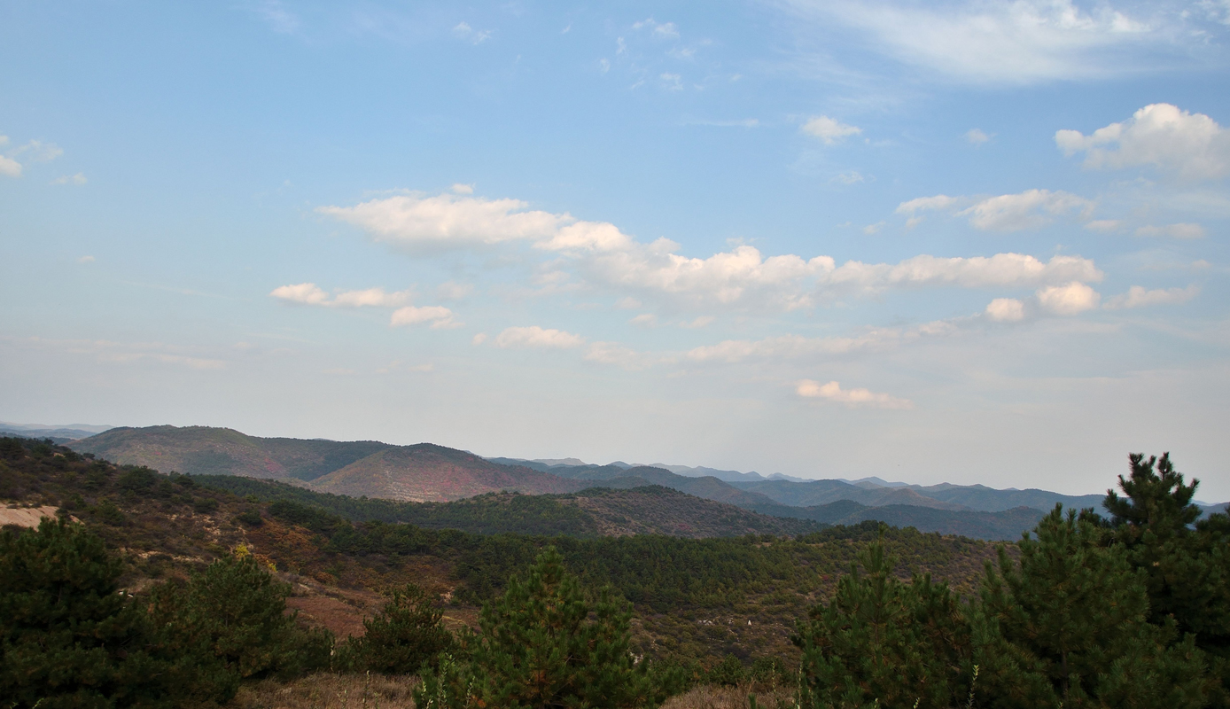 DSC_0078.jpg