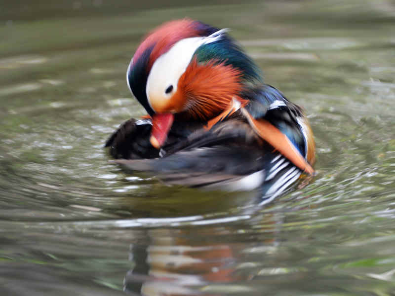 DSC_6107.jpg