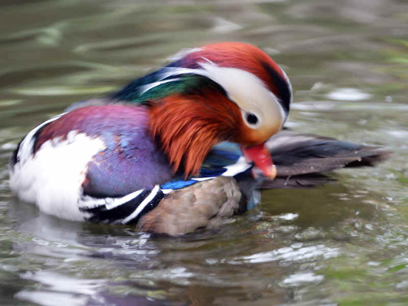 DSC_6143.jpg
