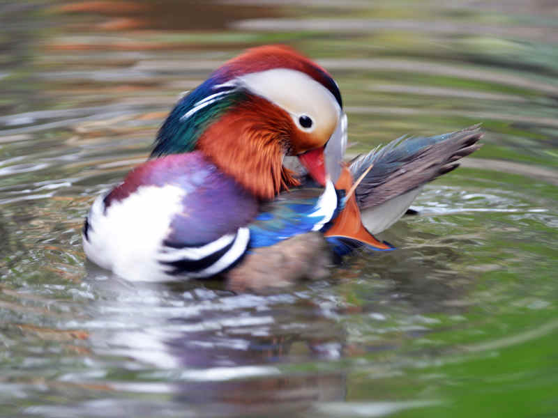 DSC_6114.jpg