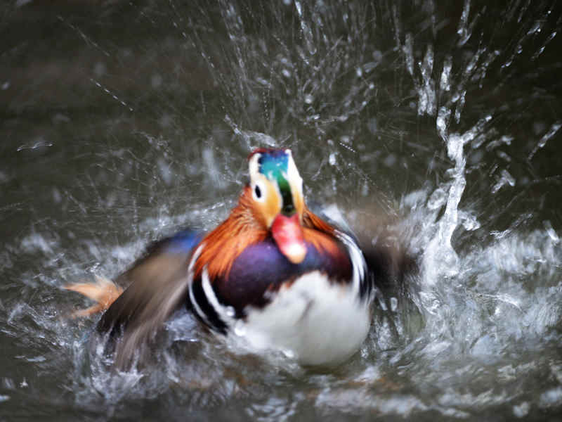 DSC_6150.jpg