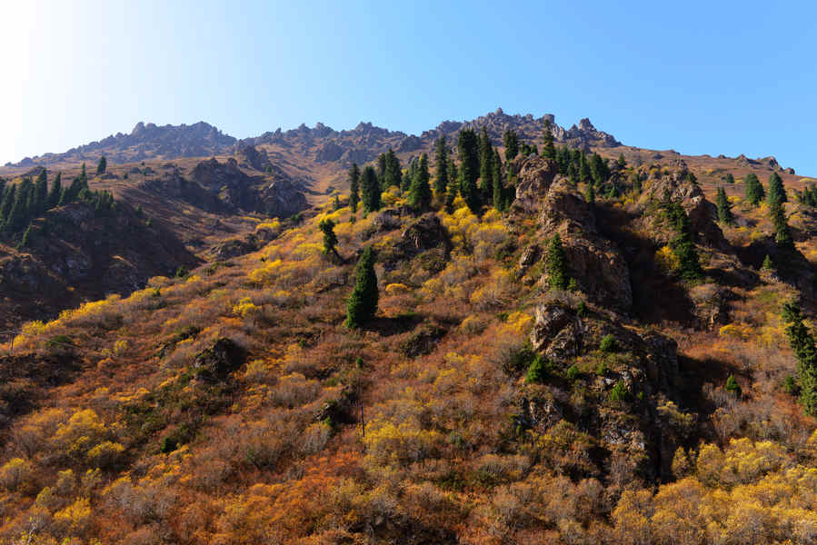 A9A_4500.jpg