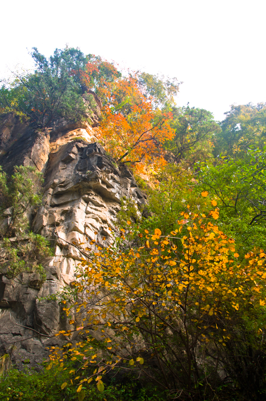 DSC_0033.jpg