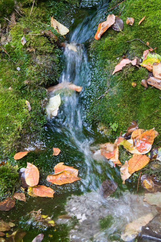 DSC_0077.jpg
