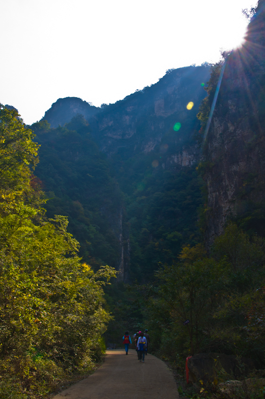 DSC_0141.jpg