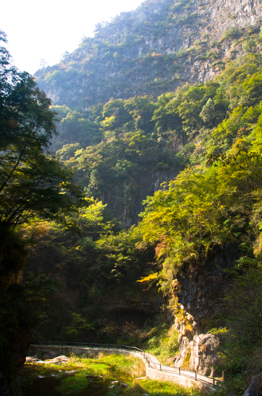 DSC_0091.jpg