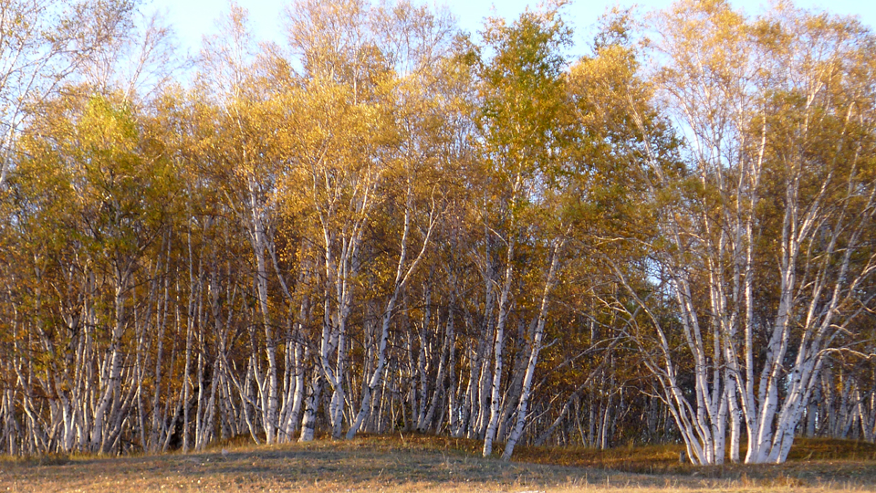 P1120942.JPG