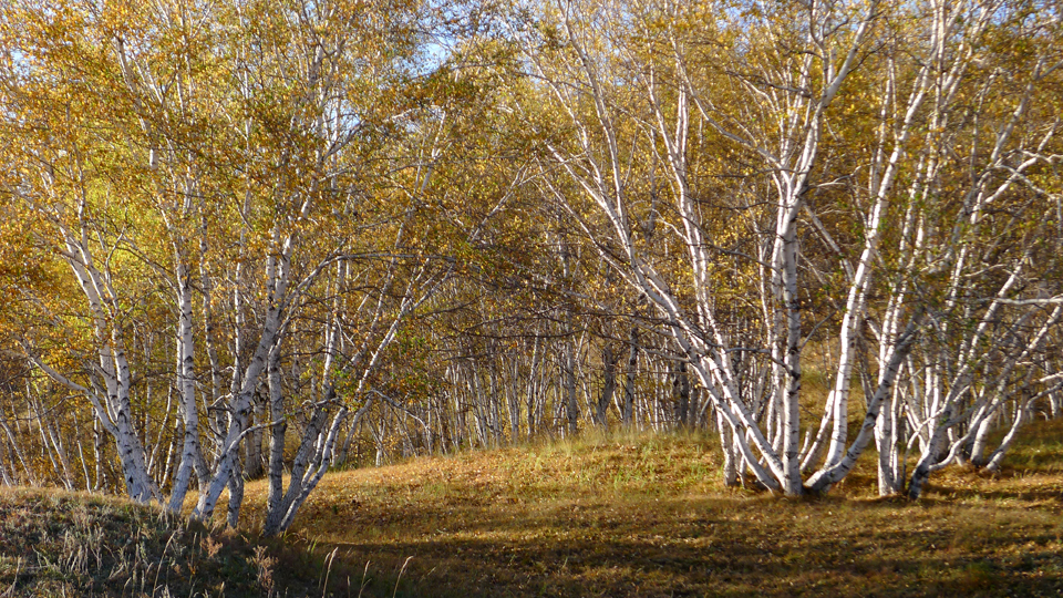 P1120935.JPG