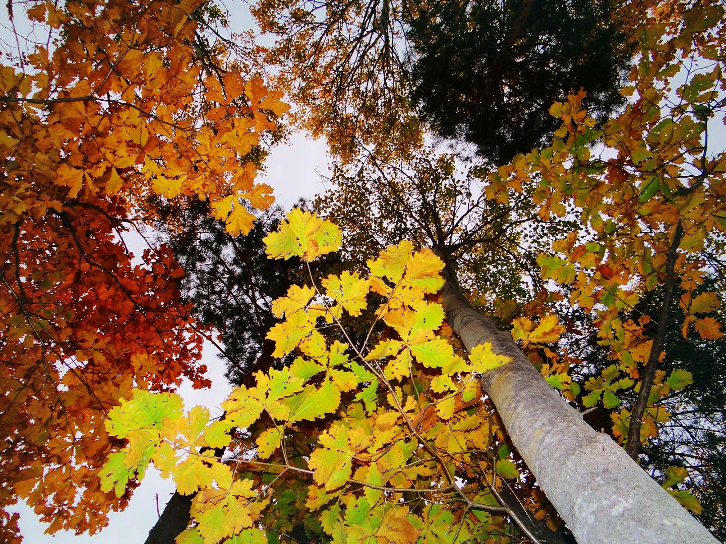 DSC06348.JPG