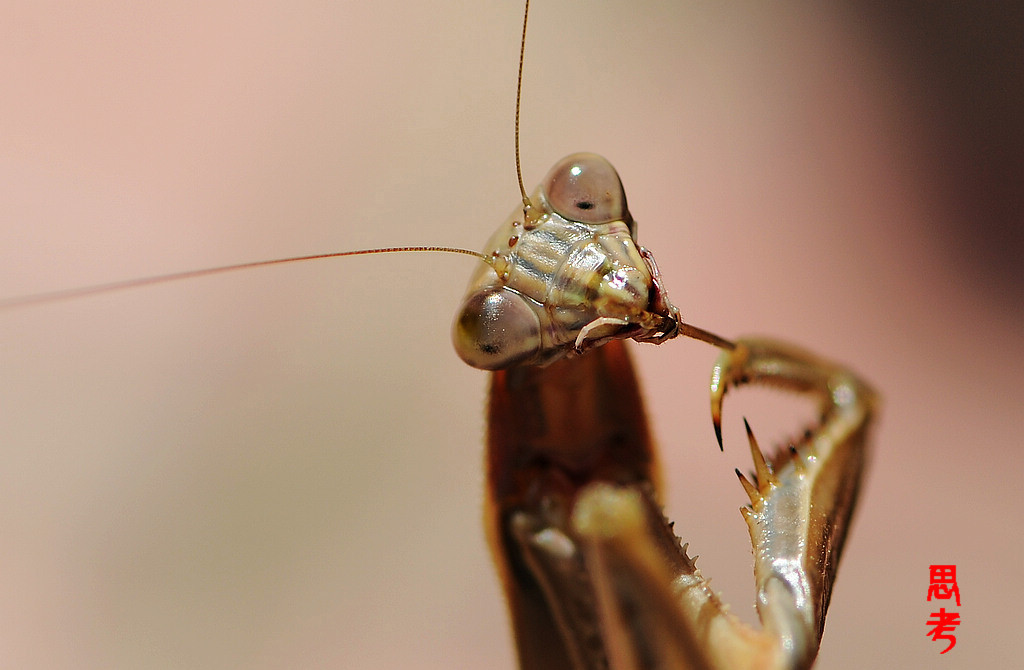 NiKonD3X JPG2012109ա 065.jpg