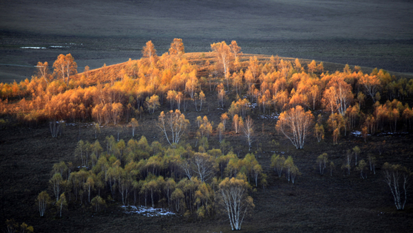 _MG_5862.JPG