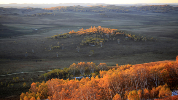 _MG_5858.JPG