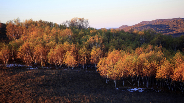 _MG_5863.JPG