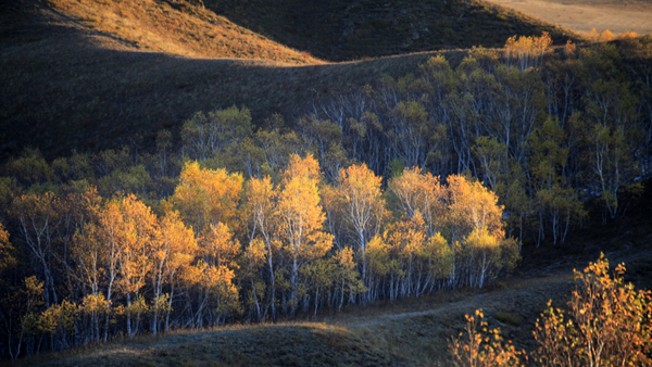 _MG_5875.JPG