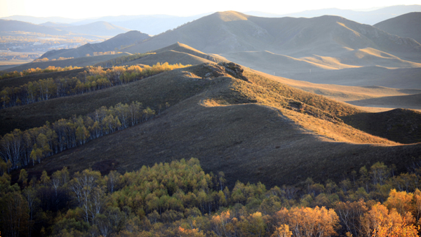_MG_5886.JPG