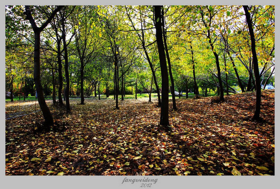 Ƭ 009.jpg