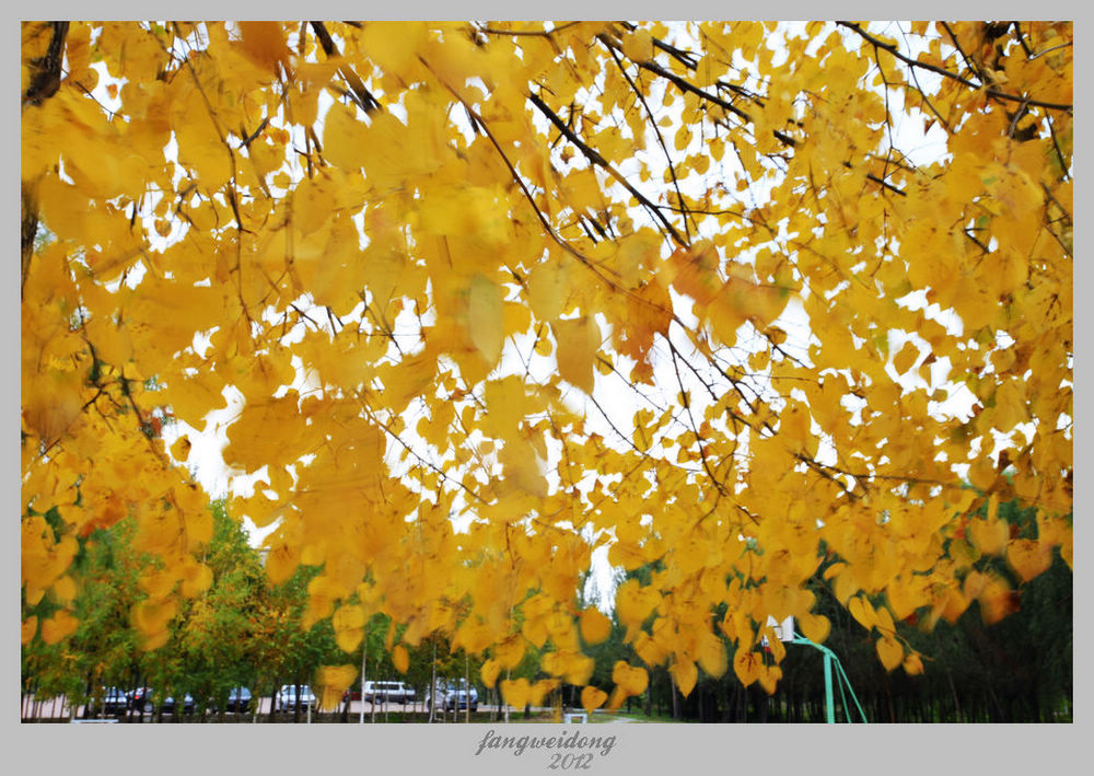 Ƭ 093.jpg