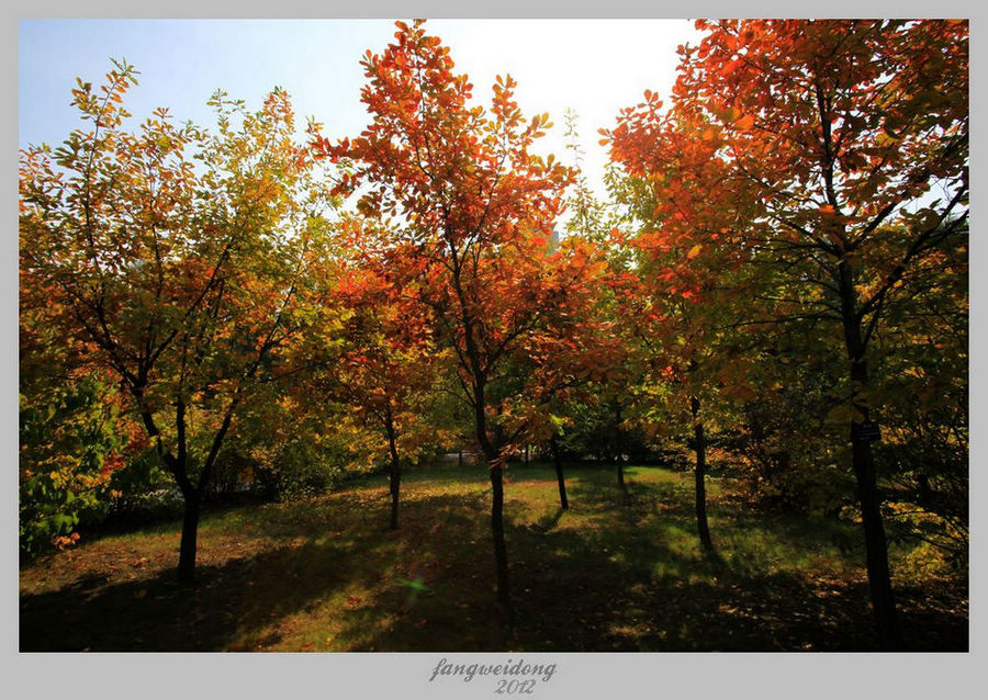 Ƭ 023.jpg