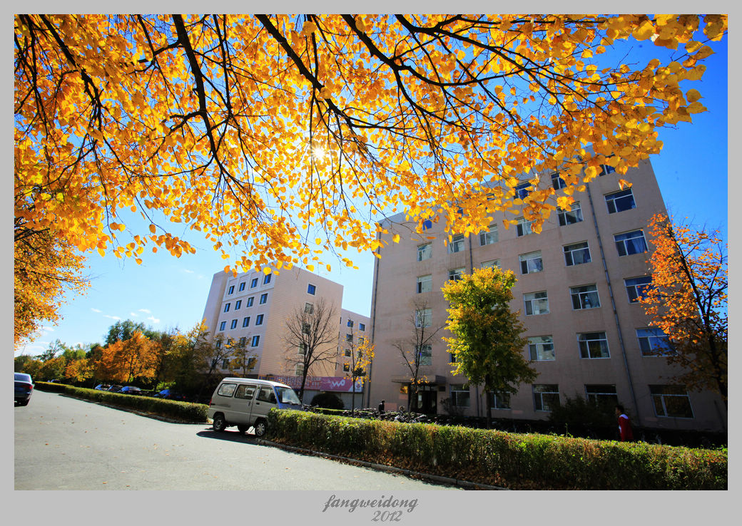 Ƭ 064.jpg