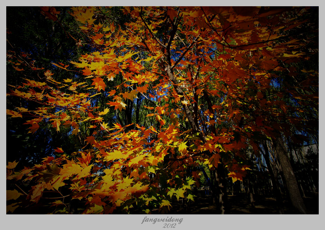 Ƭ 055.jpg