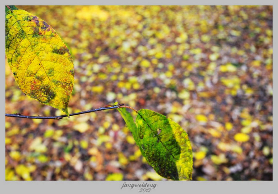 Ƭ 006.jpg