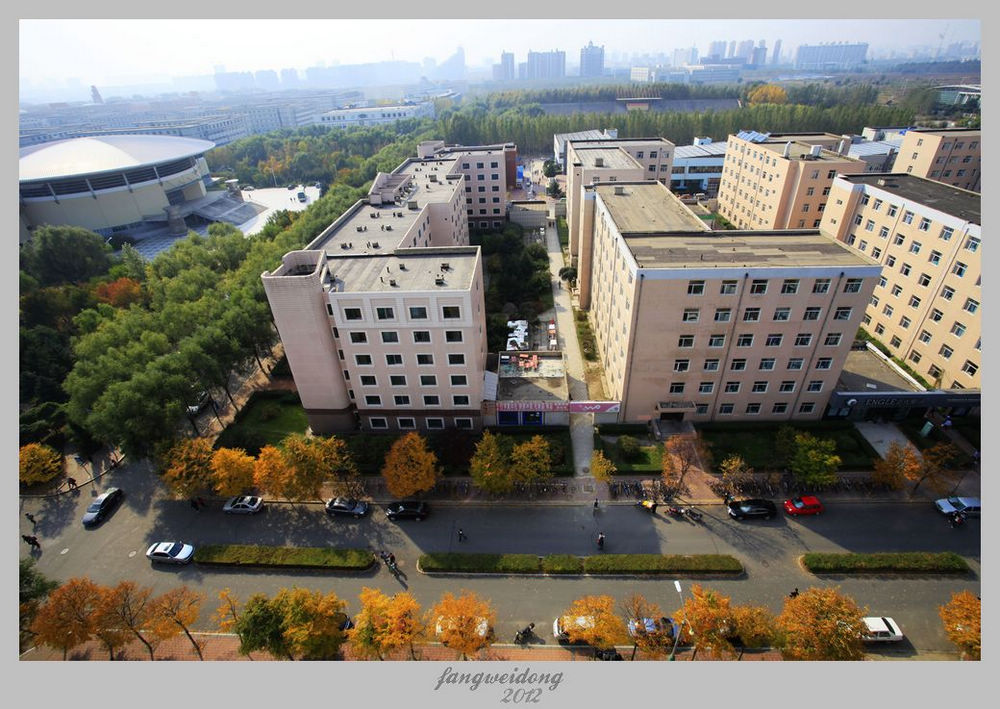 Ƭ 040.jpg