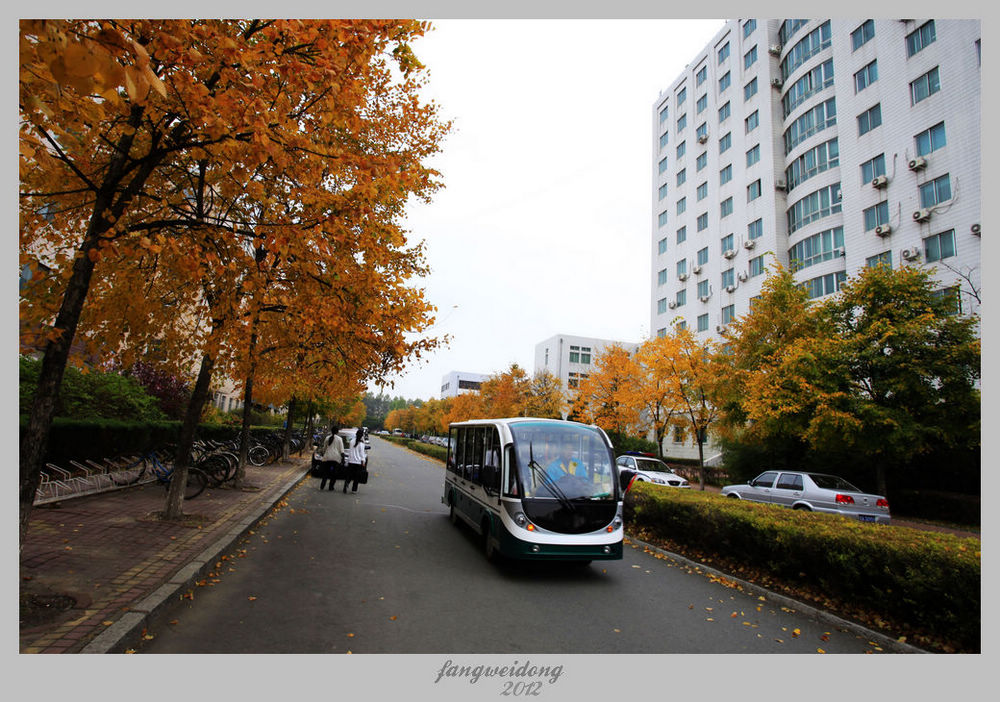 Ƭ 045.jpg
