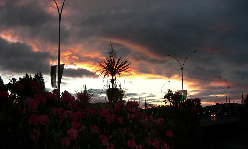 DSCN1621.JPG