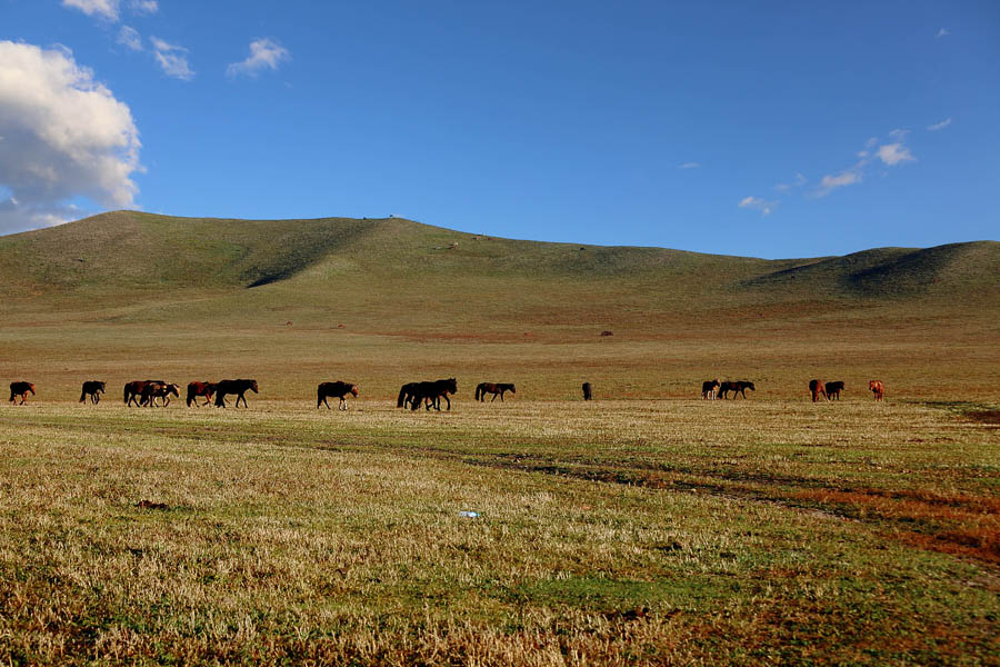 DPP_0801.jpg