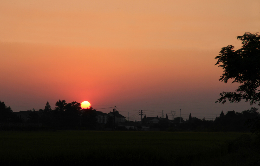 IMG_0078.jpg