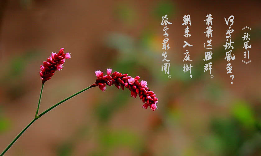 DPP_0081.jpg