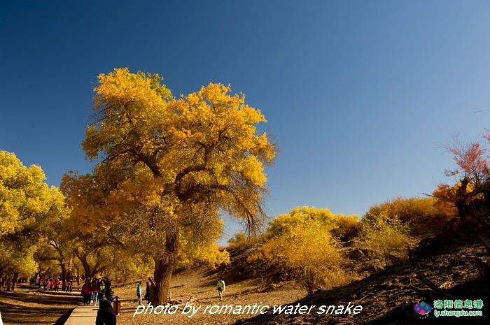 6_71842_3da06b89a1b491c.jpg