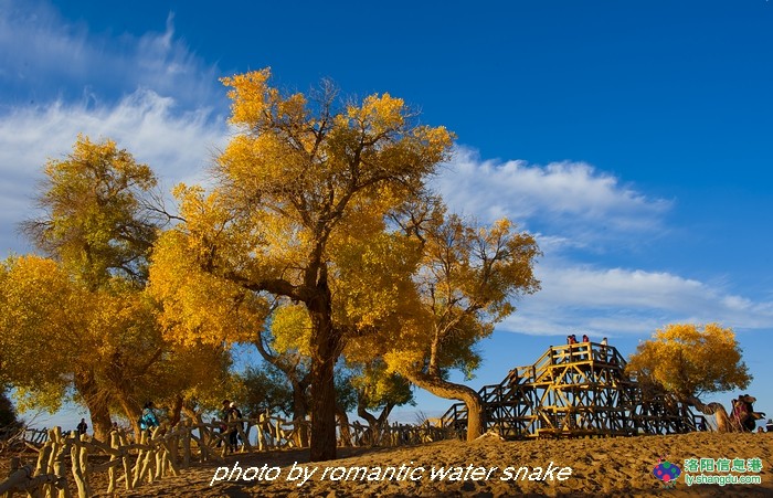 6_71842_8ff08df2bd3d1c7.jpg
