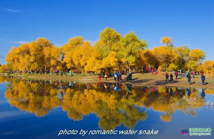 6_71842_5991faf99ccaae0.jpg