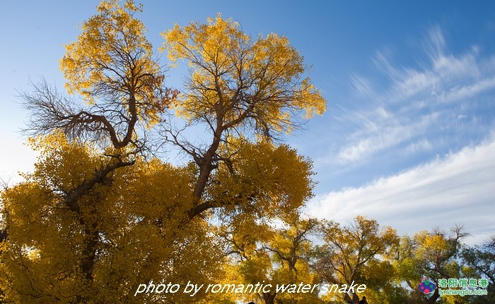 6_71842_dd17fdc3559622d.jpg