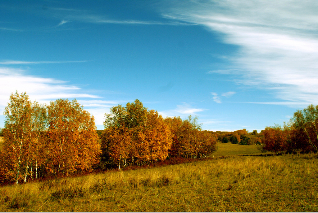DSC_1167.jpg
