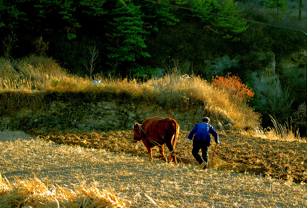 DSC_4313.jpg