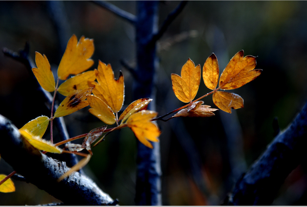 DSC_2583.jpg