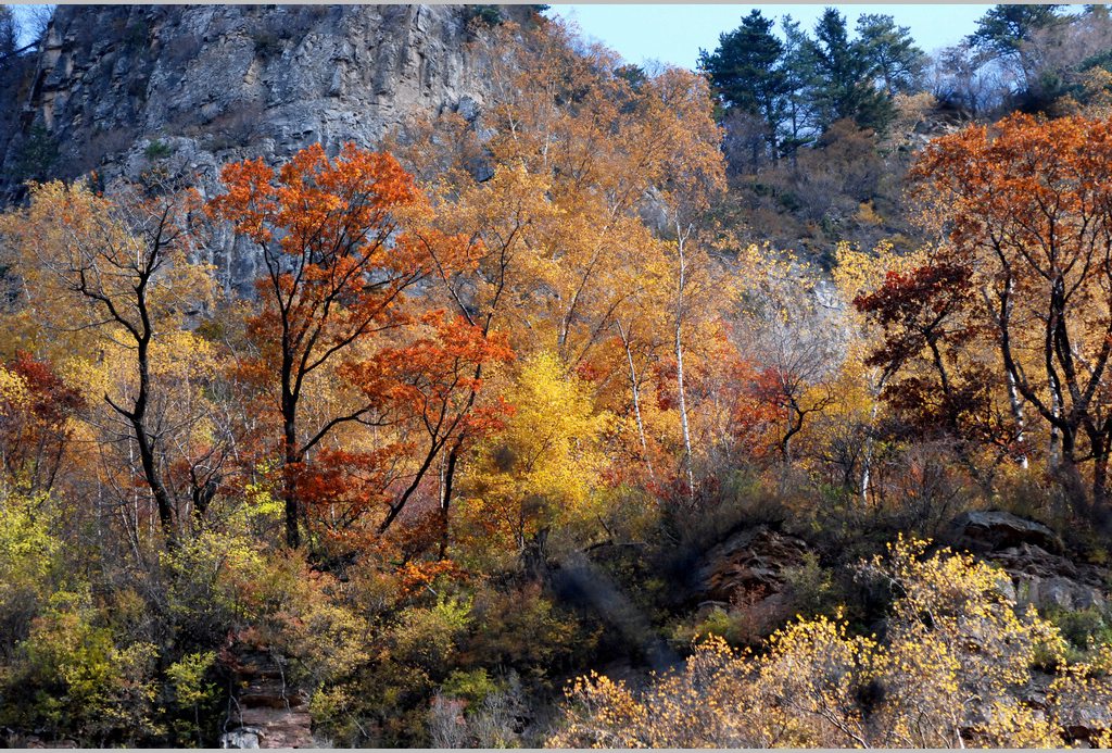 DSC_4542.JPG