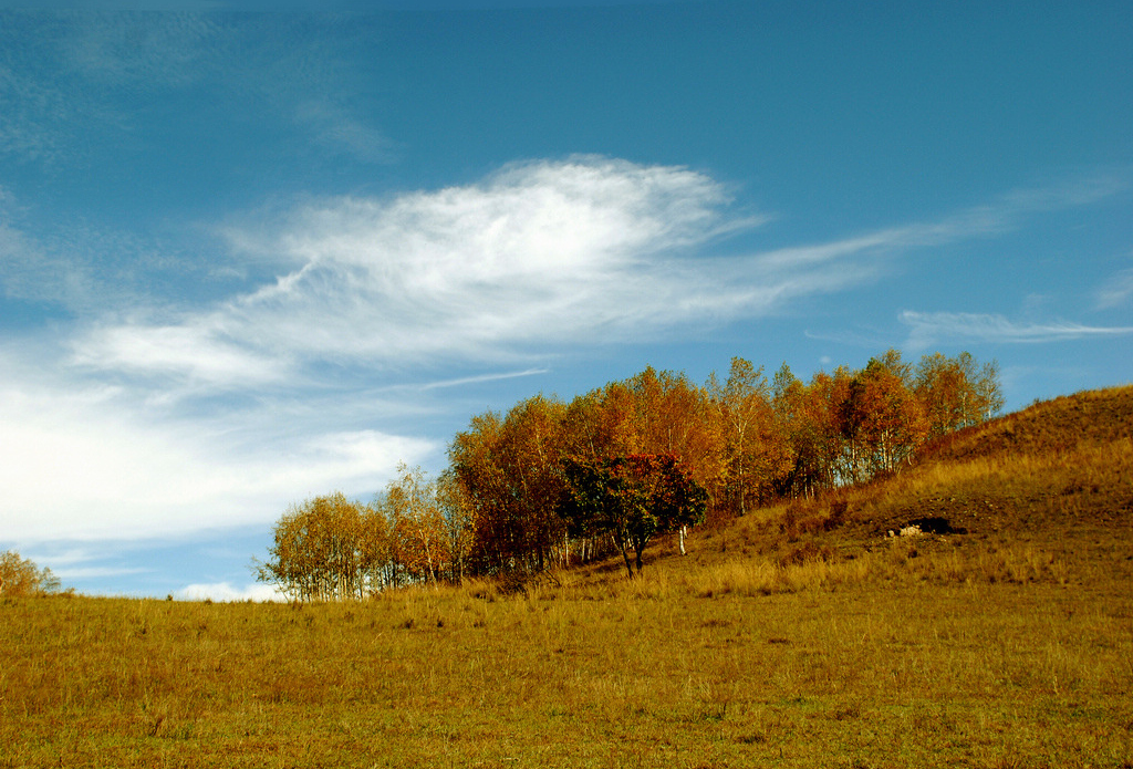 DSC_1159.jpg