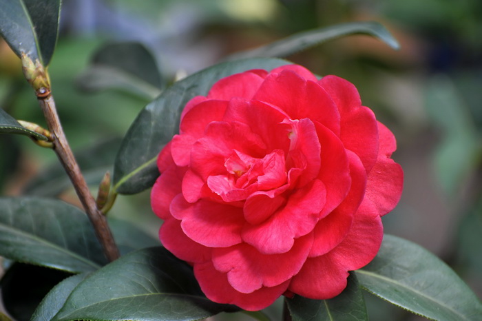 DSC_0420.jpg
