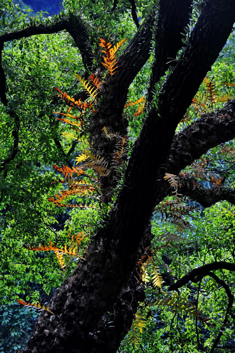 DSC_0531.jpg