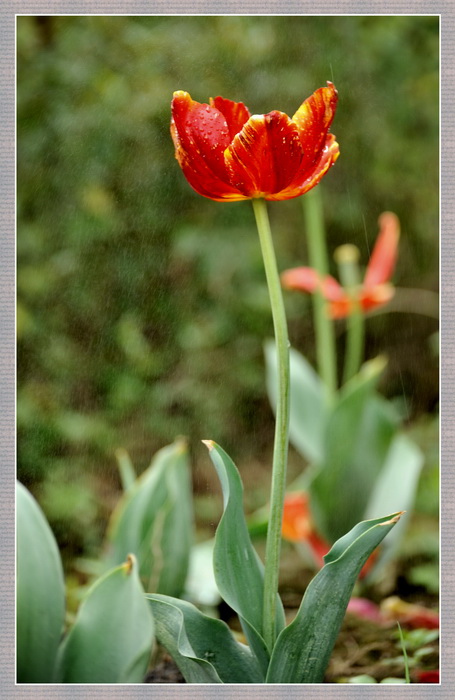 DSC_0654.jpg