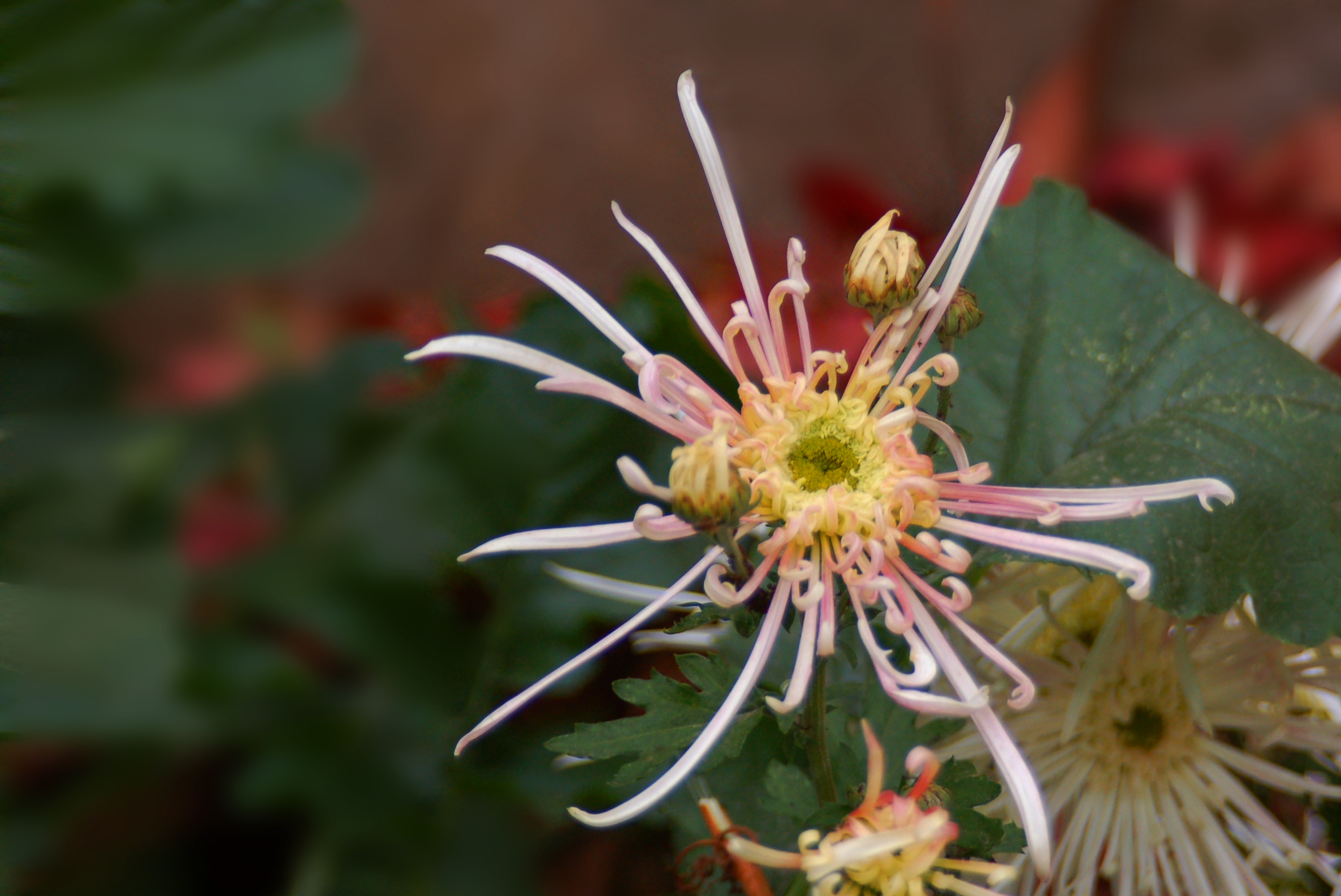  DSC_9048.JPG