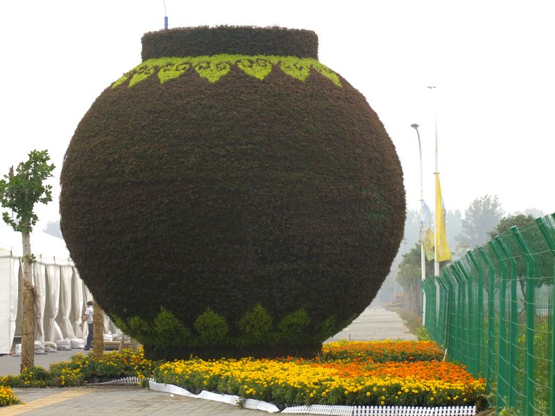 DSCF6739.jpg