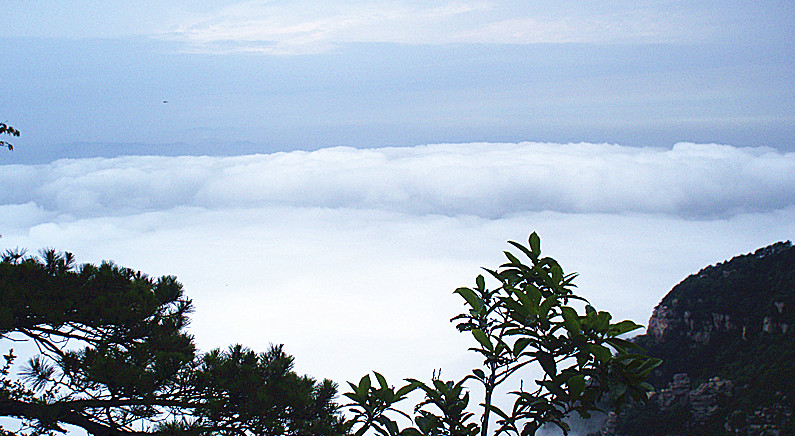P7080069_.jpg