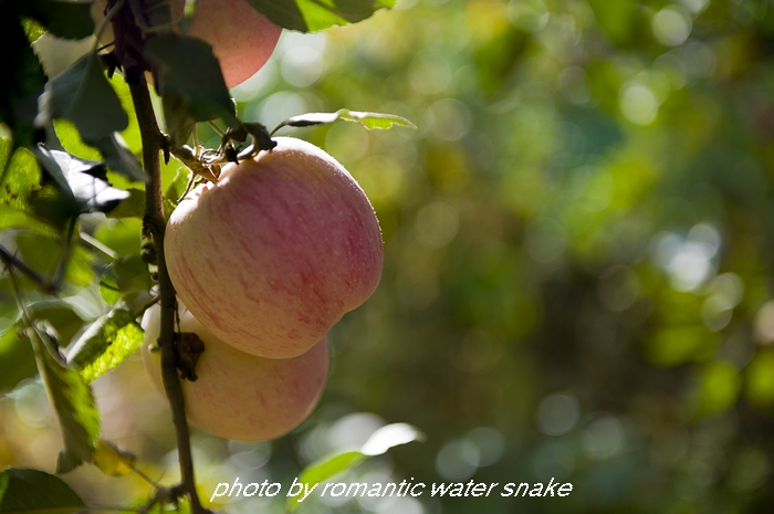 DSC_5827.jpg