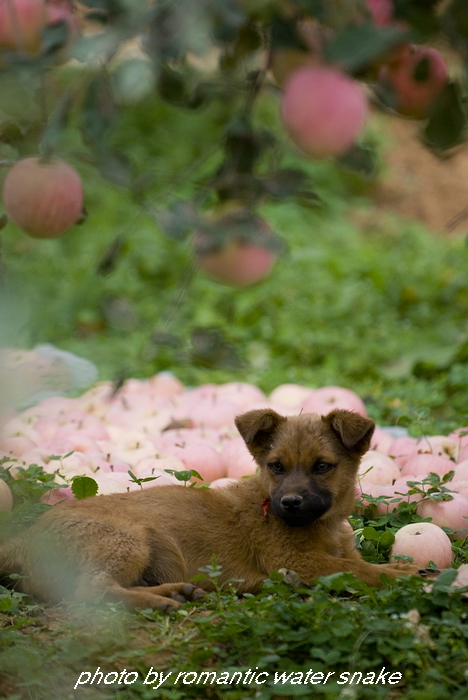 DSC_0051.jpg