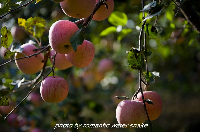 DSC_5826.jpg