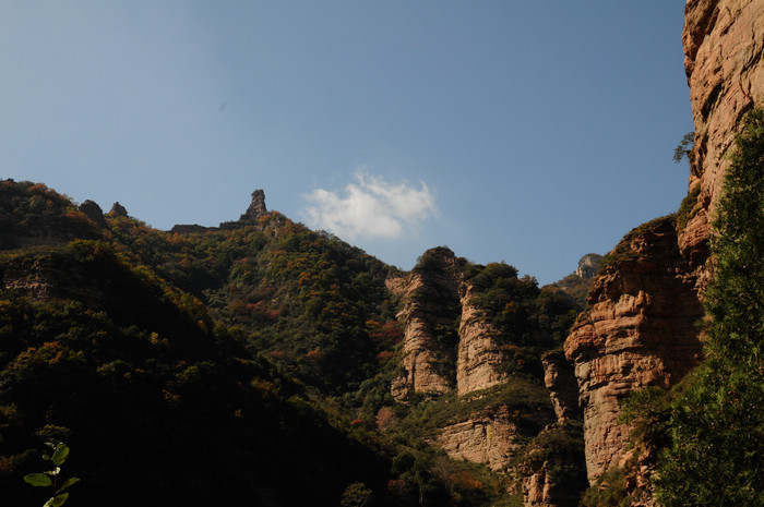 DSC_7486-1.jpg